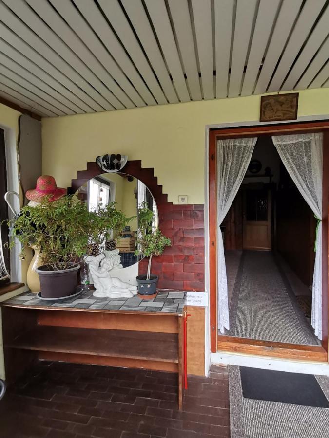 Apartman Ve Mlejne Nova Bystrice Exterior photo