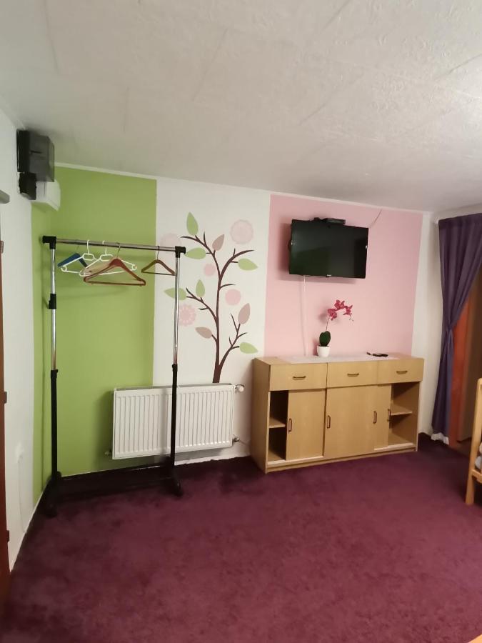 Apartman Ve Mlejne Nova Bystrice Exterior photo