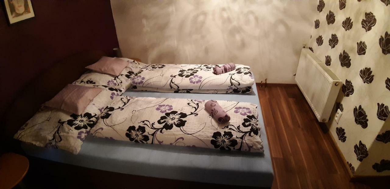 Apartman Ve Mlejne Nova Bystrice Exterior photo